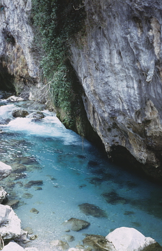 truchas en asturias,pesca truchas,asturias mosca,pesca a mosca pesca mosca